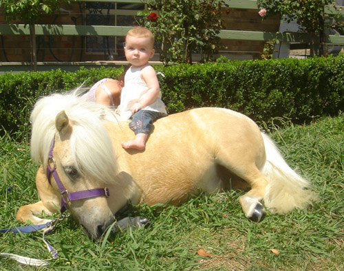 Child on Pony
